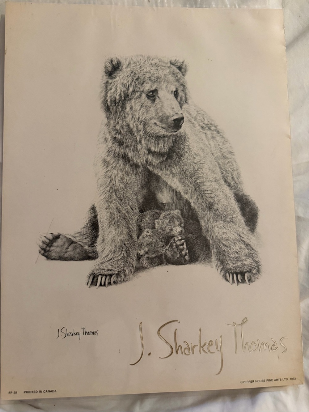 Vintage 1973 J. Sharkey Thomas Wildlife Art Print – Grizzly Bear & Cubs (FP 29)